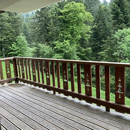15 Puy Du Rocher Chalet