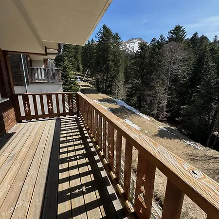 15 Puy Du Rocher Chalet Le Lioran